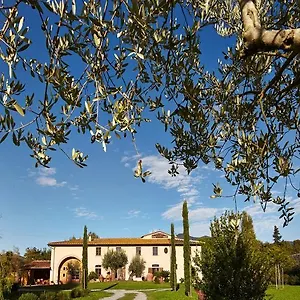 Ai Condotti Di Pisa Da Filippo Bed & Breakfast San Giuliano Terme